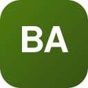 badshahsmm.com logo