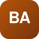 baksidaservice.com logo