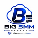 bigsmmserver.com logo