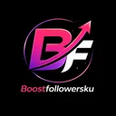boostfollowersku.com logo