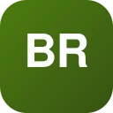 braydz.top logo