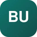 bulkfollows.pro logo