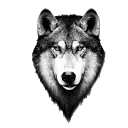 fastora.in logo