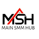 mainsmmhub.com logo