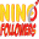 ninofollowers.com logo