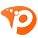 paneliniz.com logo