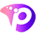 paneliniz.net logo