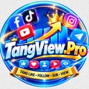 tangview.pro logo