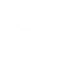worldsmm.net logo