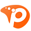paneliniz.com logo