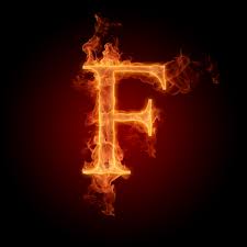 fansprovider.com logo