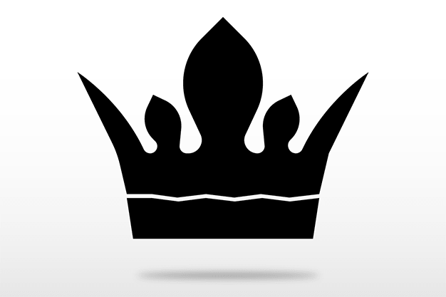 snmspeedpanel.com icon