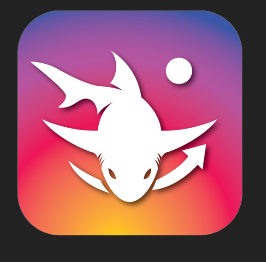 instashark.co.kr icon