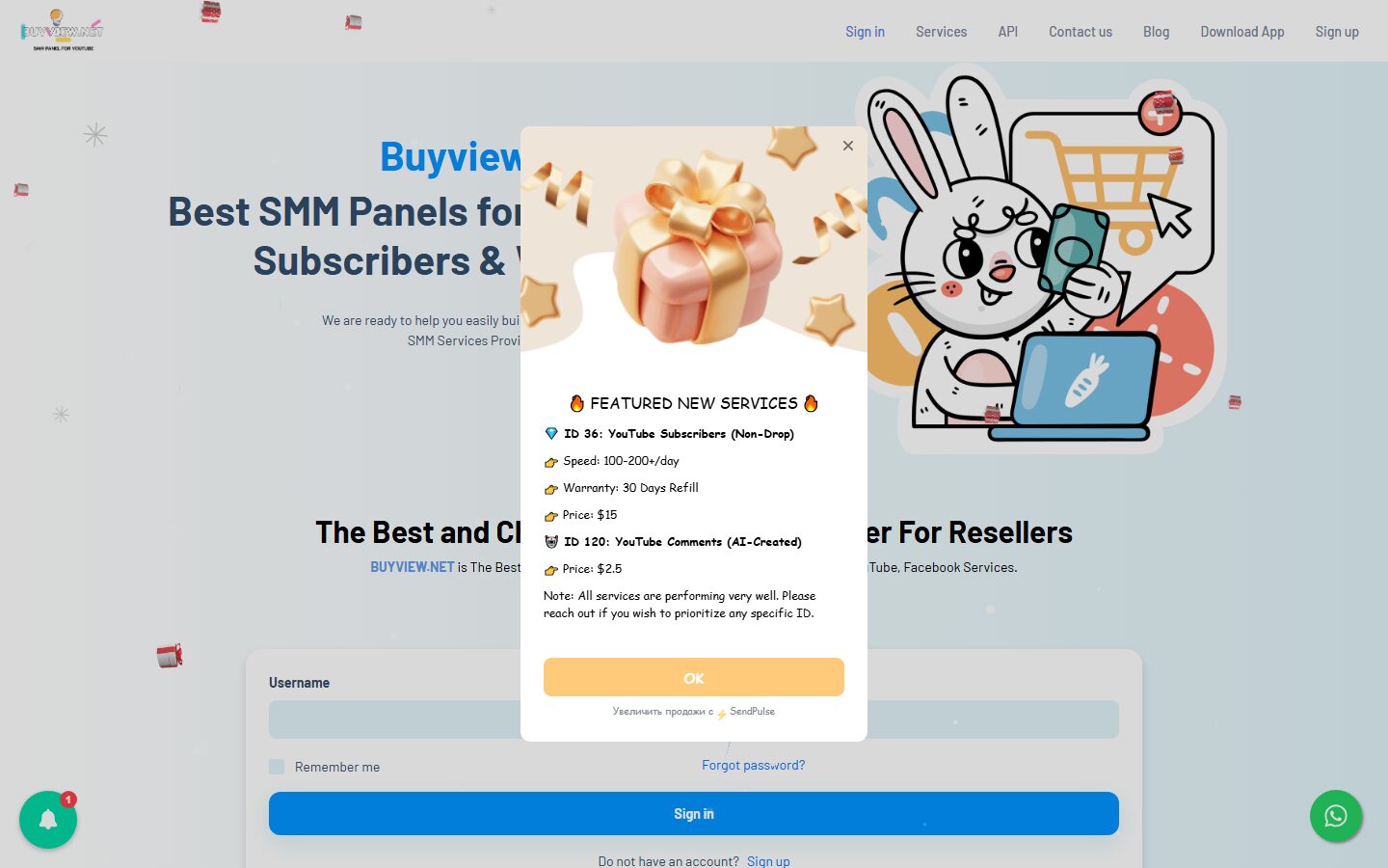 buyview.net